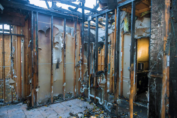 Professional Emergency Fire Cleanup technician working in Brinklow, MD